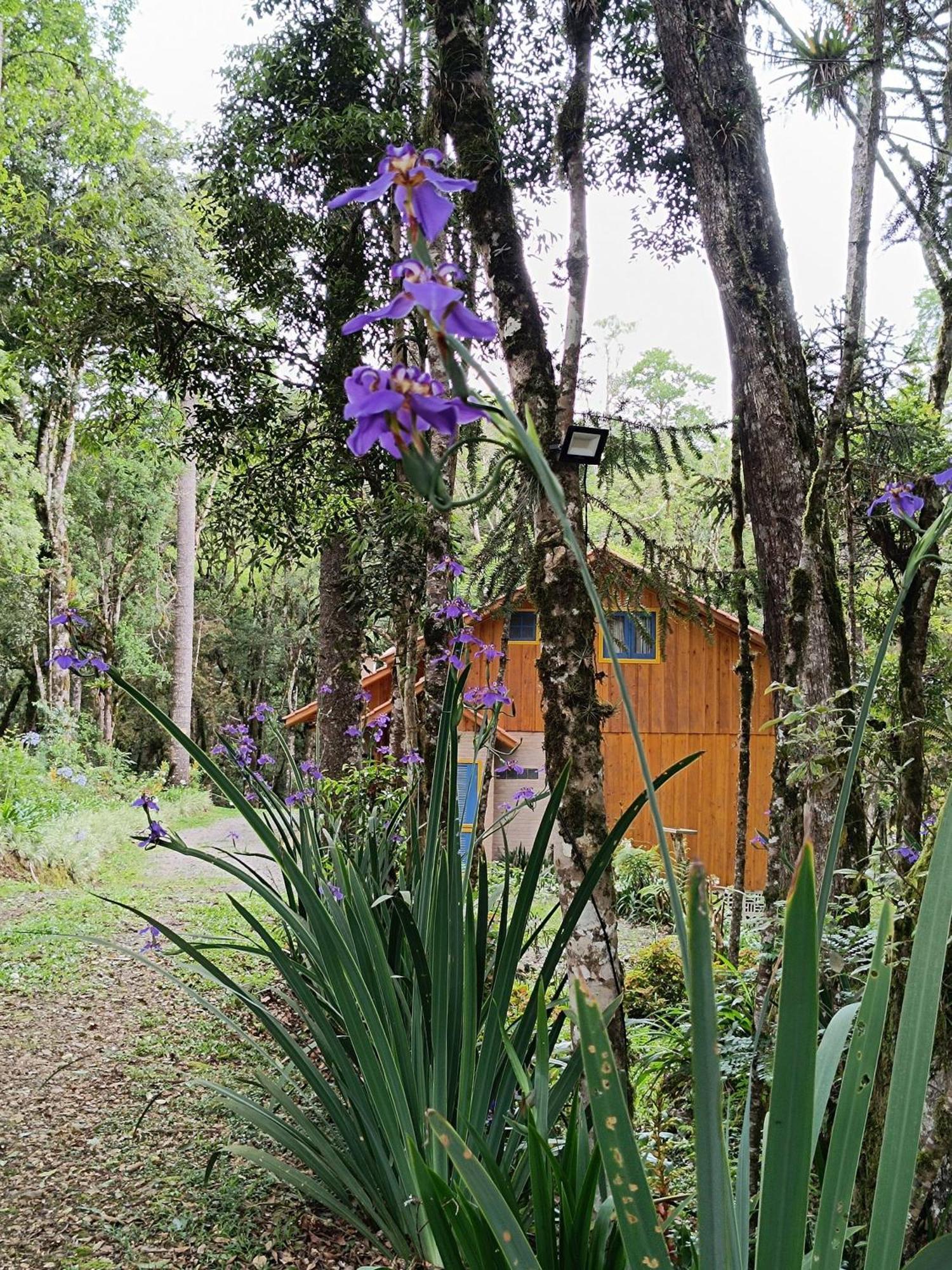 Chale Morada Alma Gemea Chalet *