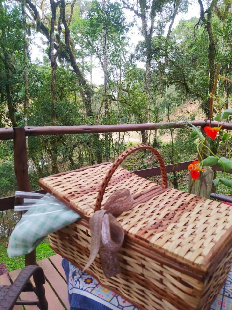 Chalet Chale Morada Alma Gemea Campo Alegre (Santa Catarina)