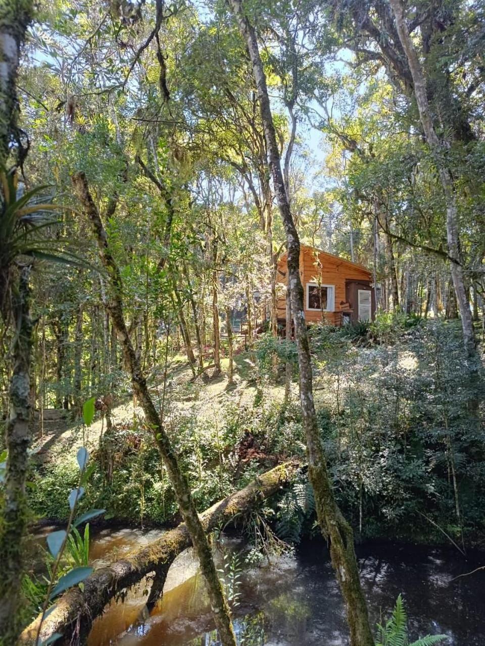 Chale Morada Alma Gemea Campo Alegre (Santa Catarina)